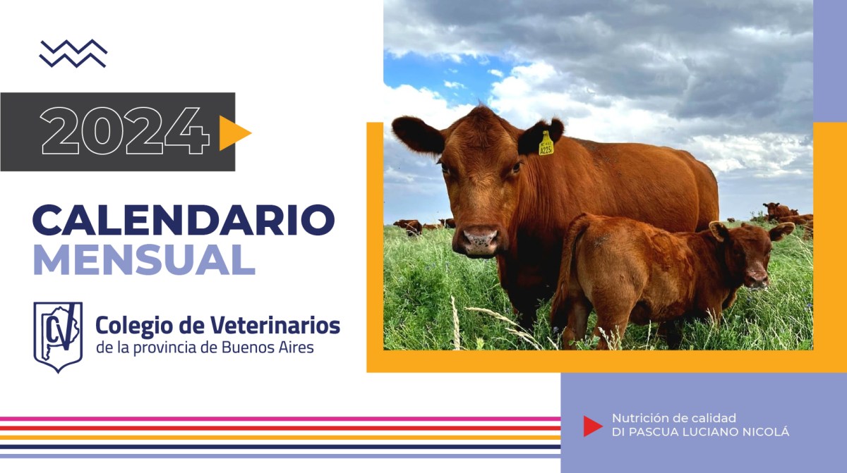 Calendario académico veterinaria uco 23 24 5