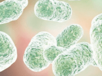 Estudio del microbioma humano: avances e inconsistencias