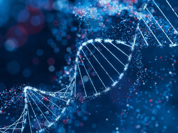 Una herramienta para la investigación en genómica: Modelo de IA para predecir variaciones en la secuencia del ADN