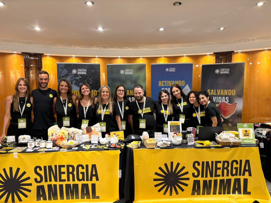 Argentina fue sede del AVA Summit, el encuentro internacional que impulsa cambios en defensa de los animales