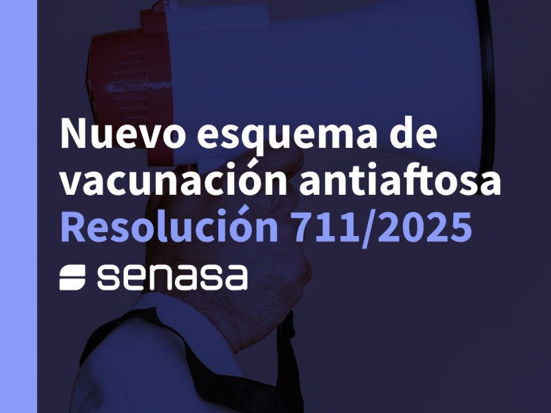 SENASA actualizó la estrategia del Programa Nacional de Fiebre Aftosa