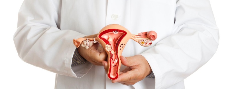 La AMP conmemoró el Día Mundial de la Prevención del Cáncer de Cuello Uterino