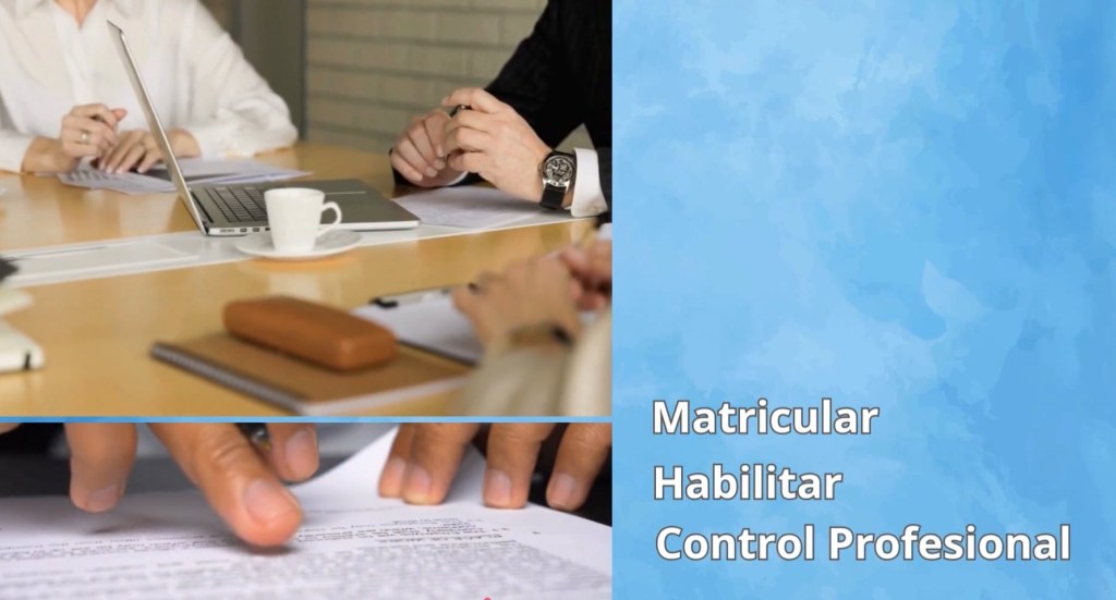 𝗖𝗼𝗻𝘀𝗲𝗷𝗼 𝗽𝗿𝗼𝗳𝗲𝘀𝗶𝗼𝗻𝗮𝗹 𝗱𝗲 𝗤𝘂í𝗺𝗶𝗰𝗮: 𝗜𝗱𝗼𝗻𝗲𝗶𝗱𝗮𝗱 𝘁é𝗰𝗻𝗶𝗰𝗮 𝗮𝗹 𝘀𝗲𝗿𝘃𝗶𝗰𝗶𝗼 𝗱𝗲 𝗹𝗮 𝗣𝗿𝗼𝘃𝗶𝗻𝗰𝗶𝗮 𝗲𝗻 𝗲𝗹 𝗺𝗮𝗿𝗰𝗼 𝗱𝗲 𝗹𝗮 𝗟𝗲𝘆 𝟳𝟬𝟮𝟬