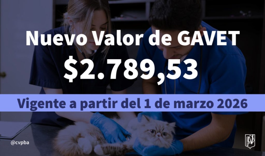 El Colegio de Veterinarios bonaerense fijó el valor del GAVET a partir de marzo en $2.789,53