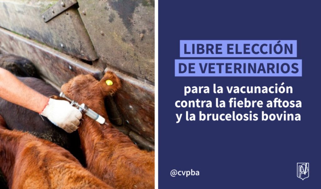 Vacunación sanitaria: el SENASA actualiza el régimen para fiebre aftosa y brucelosis bovina