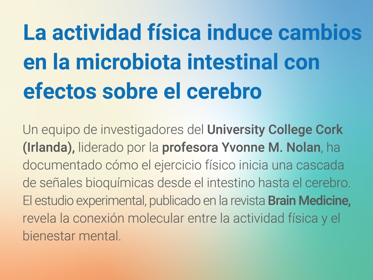 Un estudio documentó cómo la actividad física induce cambios en la microbiota intestinal con efectos sobre el cerebro