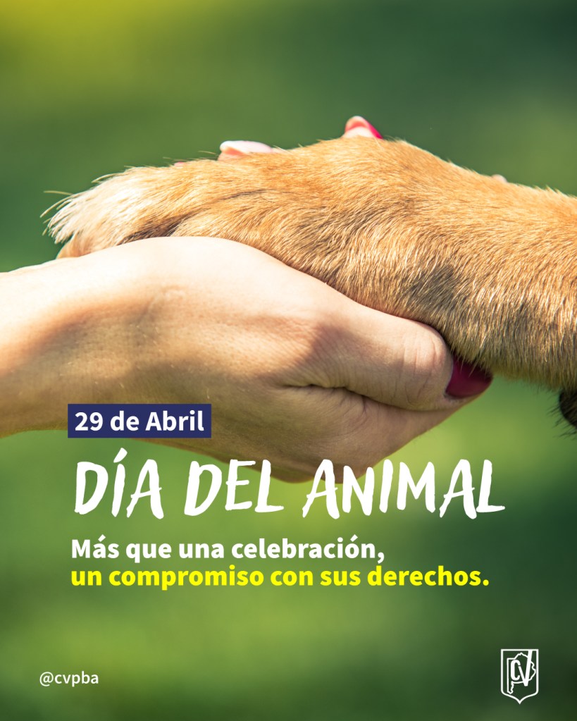 El Colegio de Veterinarios de la Provincia de Buenos Aires conmemoró el Día del Animal y recordó sus derechos