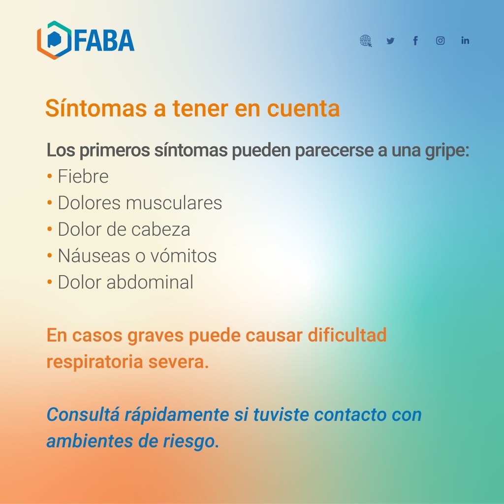 Hantavirus: qué debemos saber para prevenirlo