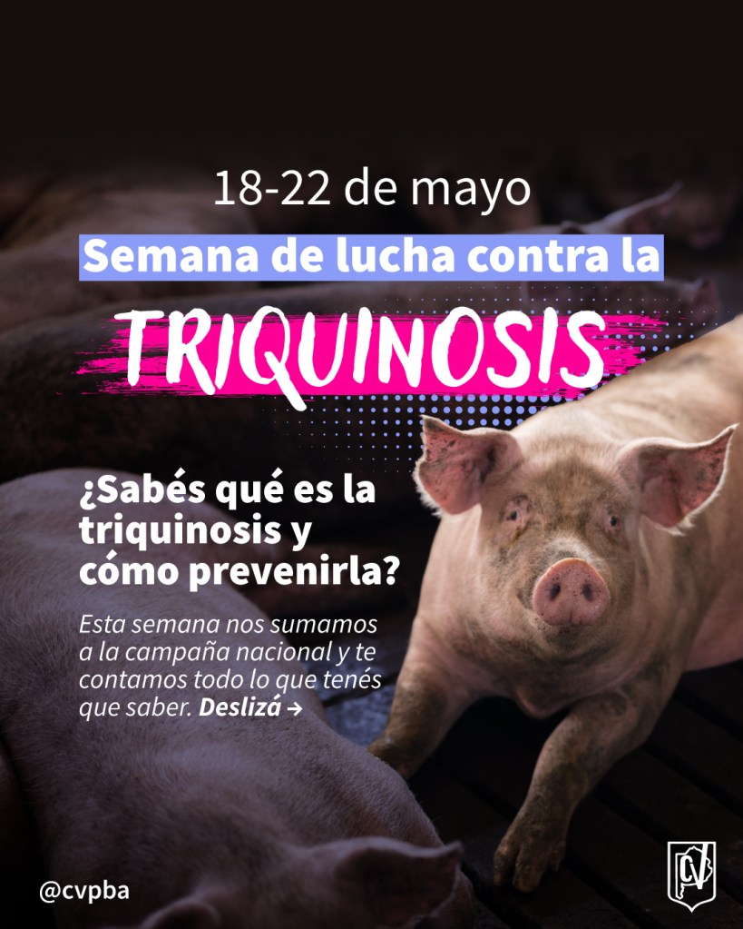 Arrancó la Semana de Lucha contra la Triquinosis