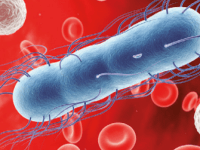 Biomarcadores para guiar el manejo de la sepsis