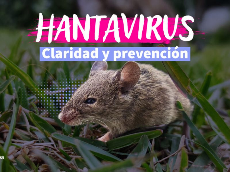 Hantavirus: Claridad y prevención para proteger a la familia y a sus animales de compañía