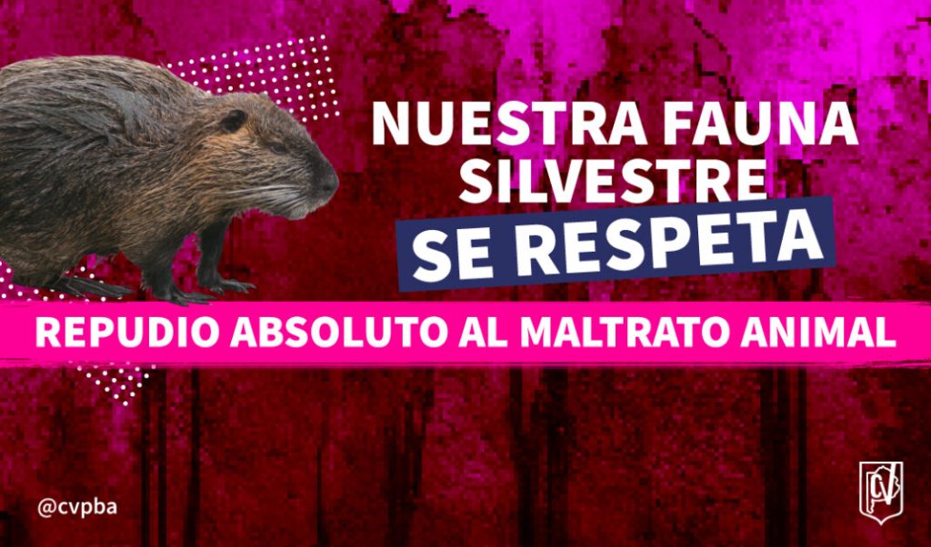El Colegio de Veterinarios bonaerense repudió el maltrato animal contra un coipo en Bahía Blanca